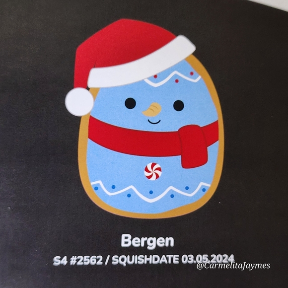 🖤 CHRISTMAS COOKIES 🎄 Select Series Ornament Box Set 2024 Squishmallow ☆ NIB ☆ - Picture 5 of 6